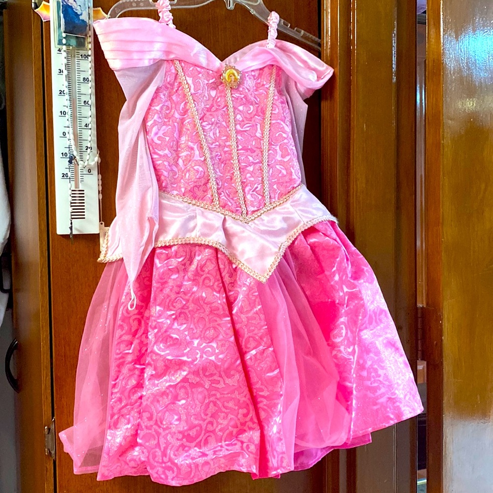 A pink disney princess’s aurora dress from Disney park boutique size 6/7